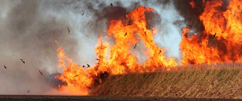 Groper Creek Caravn Park, Home Hill Qld